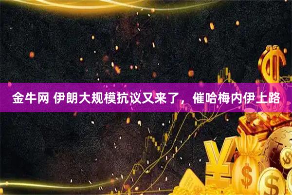 金牛网 伊朗大规模抗议又来了，催哈梅内伊上路
