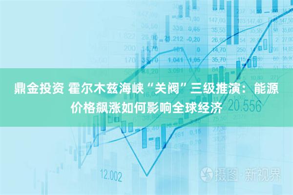 鼎金投资 霍尔木兹海峡“关阀”三级推演：能源价格飙涨如何影响全球经济