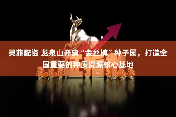 灵菲配资 龙泉山开建“金丝楠”种子园，打造全国重要的种质资源核心基地