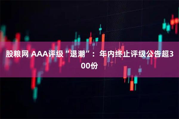 股粮网 AAA评级“退潮”:年内终止评级公告超300份