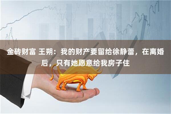 金砖财富 王朔:我的财产要留给徐静蕾,在离婚后,只有她愿意给我房子住