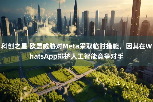 科创之星 欧盟威胁对Meta采取临时措施，因其在WhatsApp排挤人工智能竞争对手