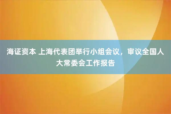 海证资本 上海代表团举行小组会议，审议全国人大常委会工作报告