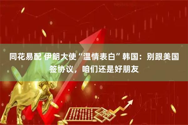 同花易配 伊朗大使“温情表白”韩国：别跟美国签协议，咱们还是好朋友