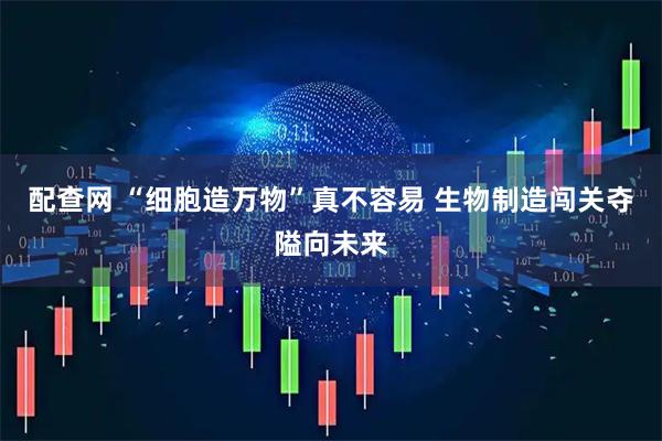配查网 “细胞造万物”真不容易 生物制造闯关夺隘向未来