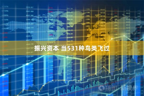 振兴资本 当531种鸟类飞过