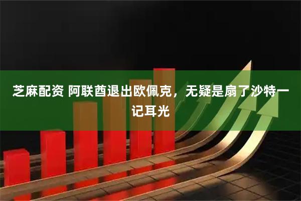芝麻配资 阿联酋退出欧佩克，无疑是扇了沙特一记耳光