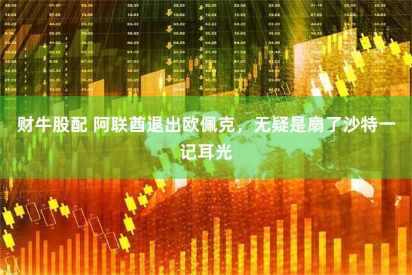 财牛股配 阿联酋退出欧佩克，无疑是扇了沙特一记耳光
