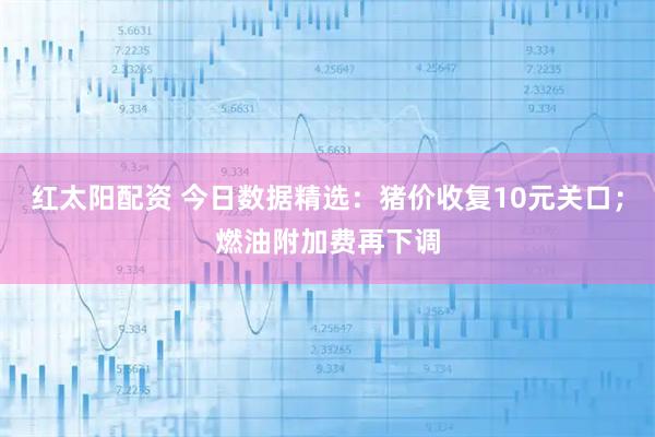 红太阳配资 今日数据精选：猪价收复10元关口；燃油附加费再下调