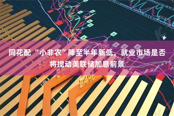 同花配 “小非农”降至半年新低，就业市场是否将搅动美联储加息前景